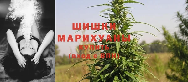 Альфа ПВП Аркадак