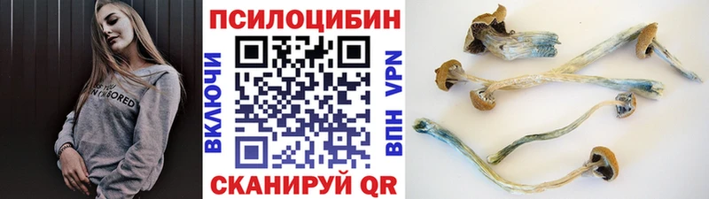 Галлюциногенные грибы Magic Shrooms гидра ссылки Малмыж где купить наркотик